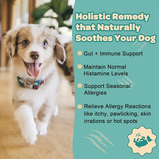 ZEBORA Pumpkin Powder for Dogs & Dog Allergy Relief Powder