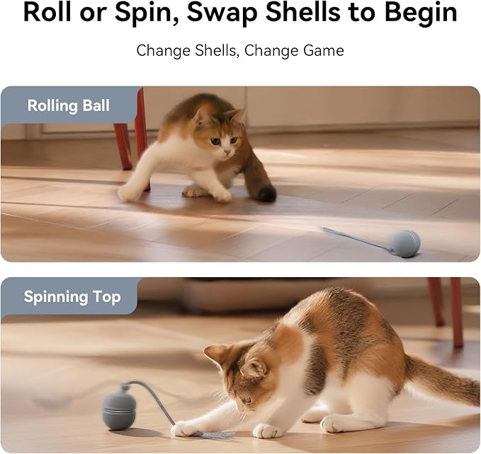 Cheerble 2 in 1 Interactive Cat Toys for Indoor Cats - Wicked Ball Duo2 Automatic Cat Toy, Dual Interchangeable Shells, Electric Cat Toy Ball with Chirping Sounds,Rechargeable Moving Kitten Toys, Blue