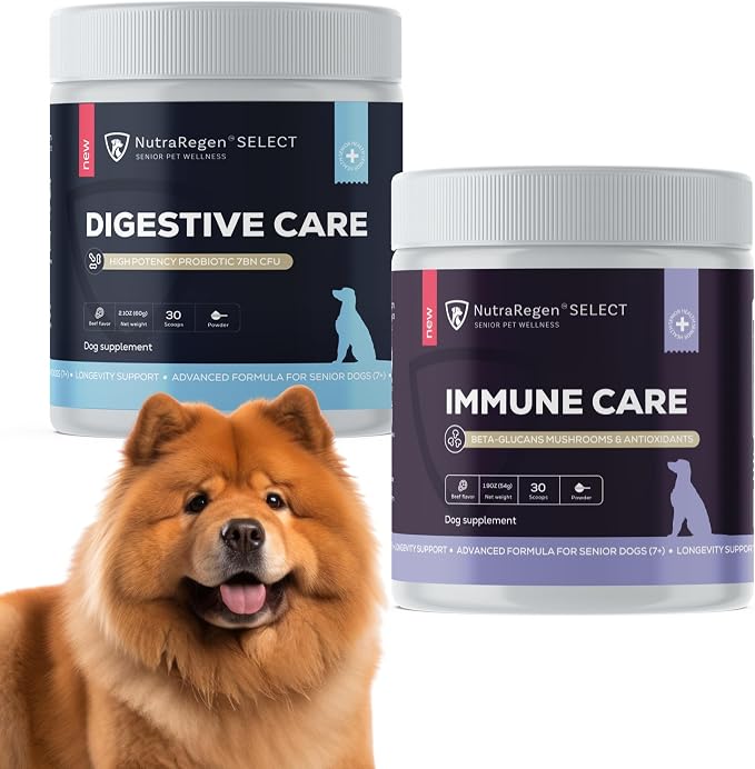 NutraRegen Dog Digestive and Immune Support Bundle | Mushroom & Probiotic Powder Supplements to Support Daily Wellness, Comfort, and Gut Balance, 7 Bn CFU | 60 Scoops, 4.0 oz