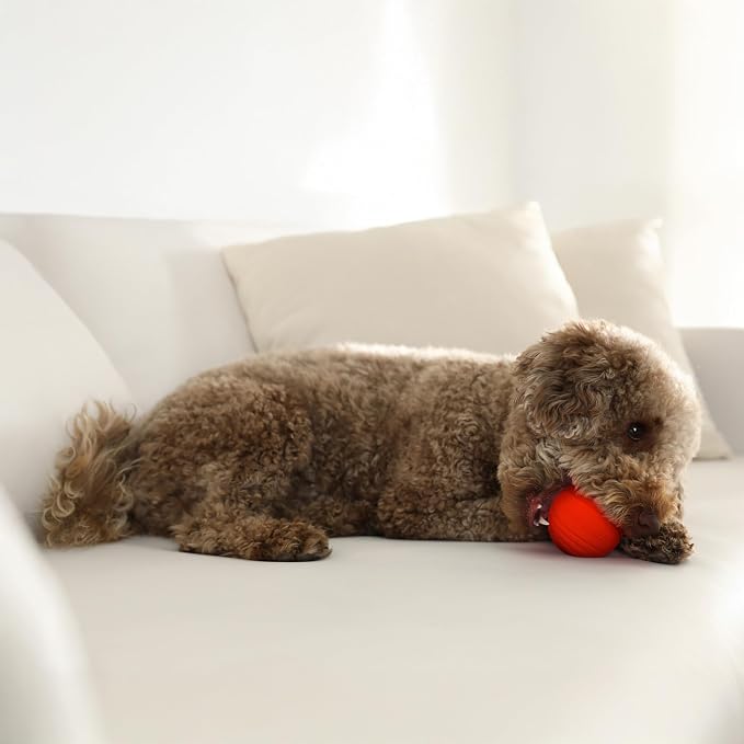 Playology Dog Toys | Dual Layer Ball Durable Chew Toy for Tough Chewers | Beef Scented Medium Dog Toy | Chew Toys for Dogs