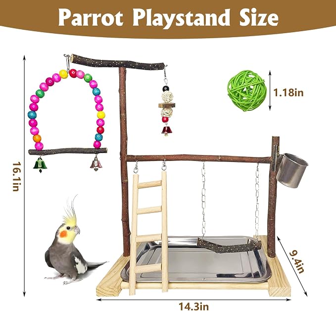 Bird Playground Parrot Playstand Parakeet Gym Playpen Cockatiel Play Stand Wood Perch Exercise Activity Center Ladders Feeder Cups Cage Accessories Swing Chew Toys for Cockatoo Budgie Lovebird Finch