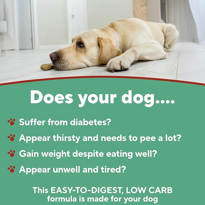 Dave's Pet Food Carbolight Carbohydrate & Weight Management for Diabetic Dogs Canned Dog Food, Chicken Dinner, 13oz can (12 Pack)