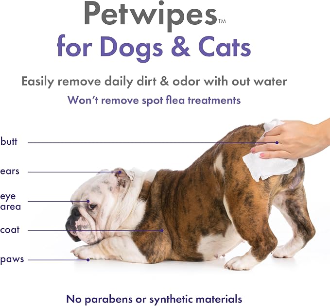 Petkin Plant-Based PetWipes, 200 Wipes, 6 Count - Biobased, Sustainable, Big & Thick Pet Wipes for Dogs & Cats - for Face, Paws, Ears, Body & Eye Area - Consciously Cleans & Conditions - Lavender