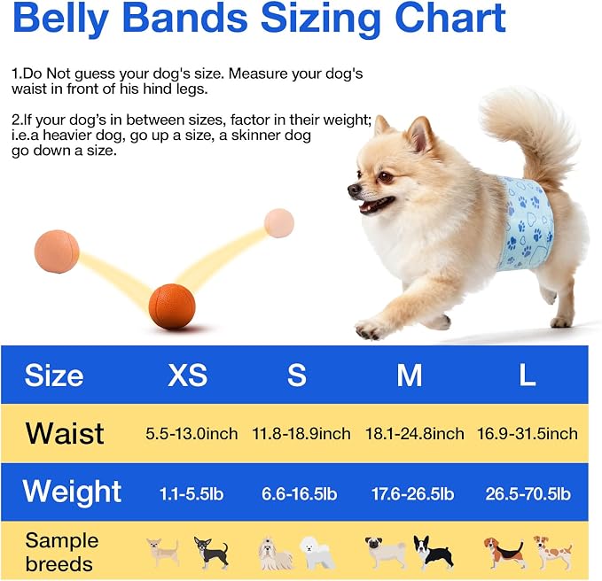Male Dog Diapers with Wetness Indicator, Disposable Belly Band for Puppy Male Diapers, Doggie Wraps for Puppy Training, Incontinence (S, 52 Count)