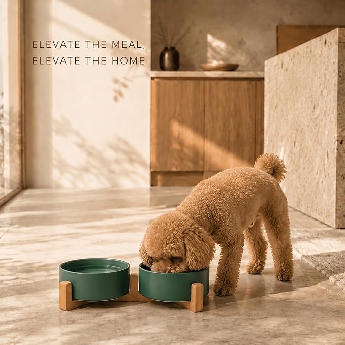 SPUNKYJUNKY Ceramic Dog and Cat Bowl with Wood Stand Non-Slip Matte Glaze Weighted Food Water Set for Cats &Small Dogs 13.5 OZ Green