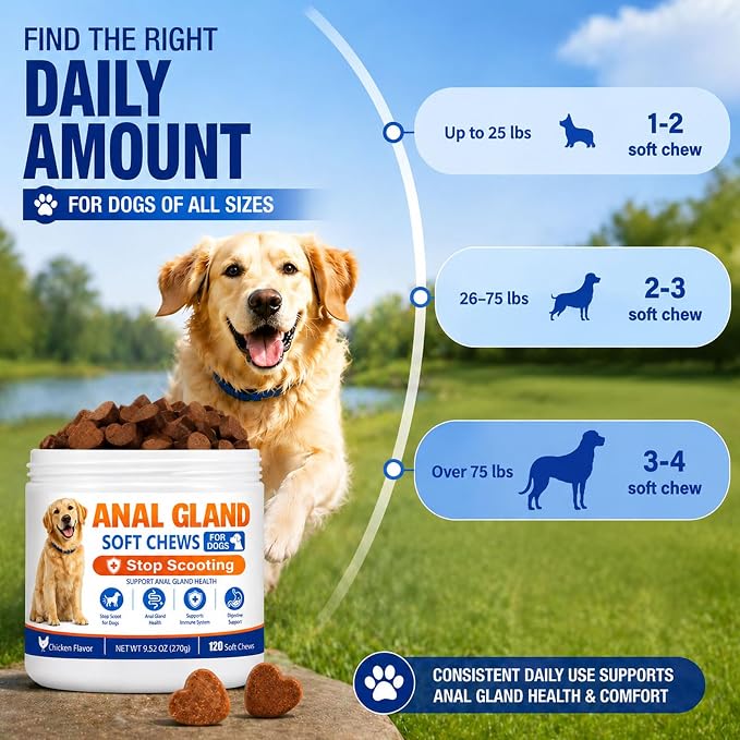 Anal Gland Support Chews for Dogs – Stops Scooting, Supports Digestive Health & Firm Stools – Pumpkin, Psyllium, Fiber, Probiotics & Digestive Enzymes – Chicken Flavor（120 Ct）
