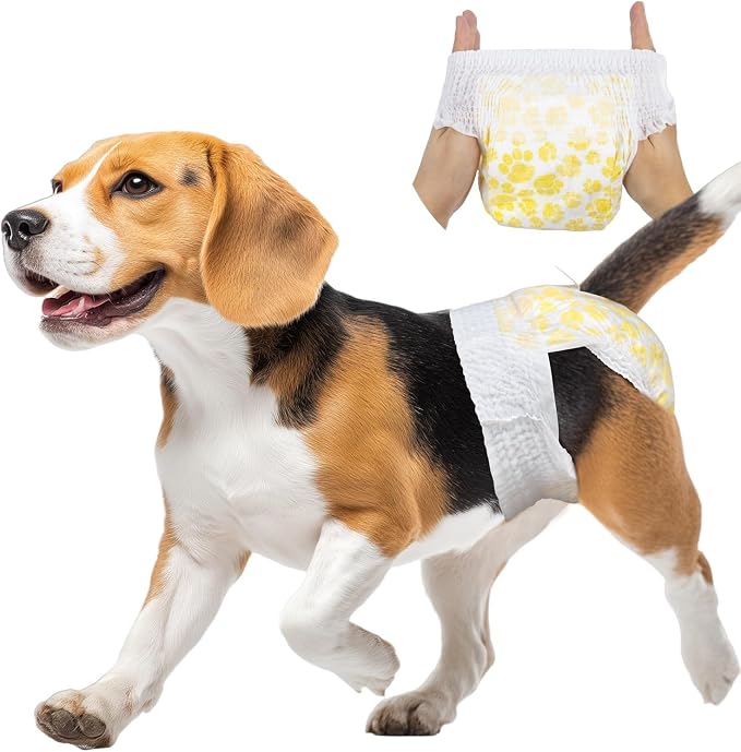 Pet Soft Disposable Dog Diapers Female, Pull Up Doggie Diapers for Female Dogs, 360°Stretchy Waist Puppy Diapers, Super Absorbent Doggy Diaper Leak Proof Design for Dogs in Heat (Medium, Count, 40.0)