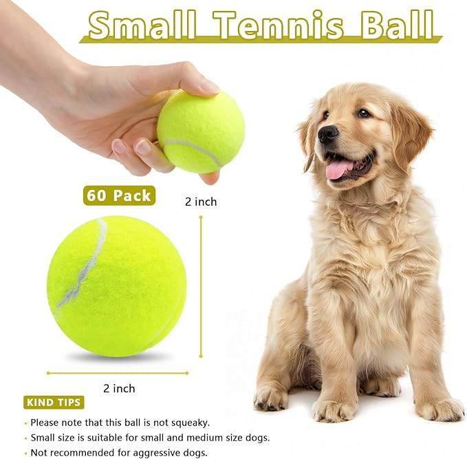 Magicorange Small Tennis Balls, 60 Pack 2 inch Tennis Balls for Dogs, Colorful Easy Catching Pet Dog Playing Ball (Yellow,60 Pack)