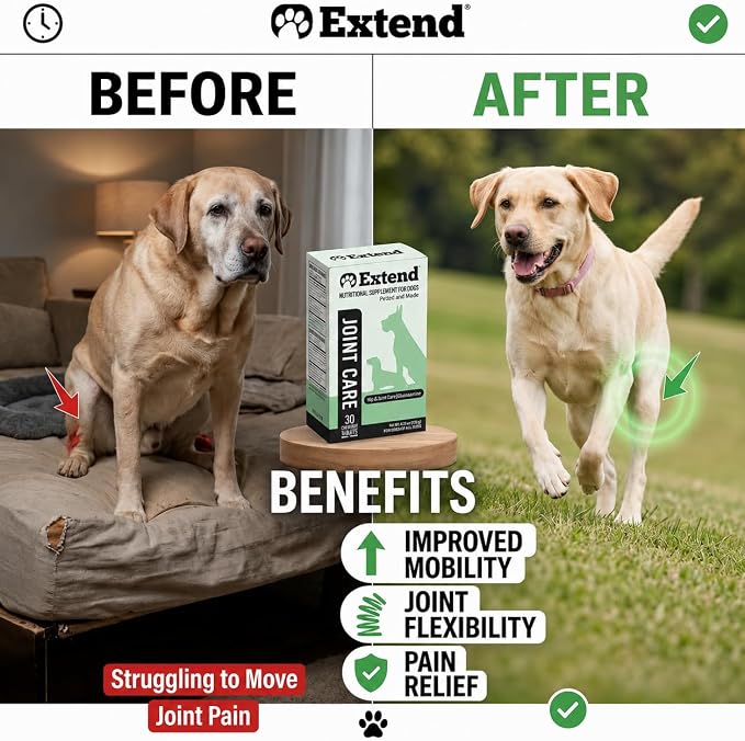 Extend Joint Support for Dogs Hip and Joint Supplement for Dogs Glucosamine Hip & Joint Support Arthritis Supplement, Support Healthy Joints, Mobility & Flexibility for All Dog Breeds - Made in USA