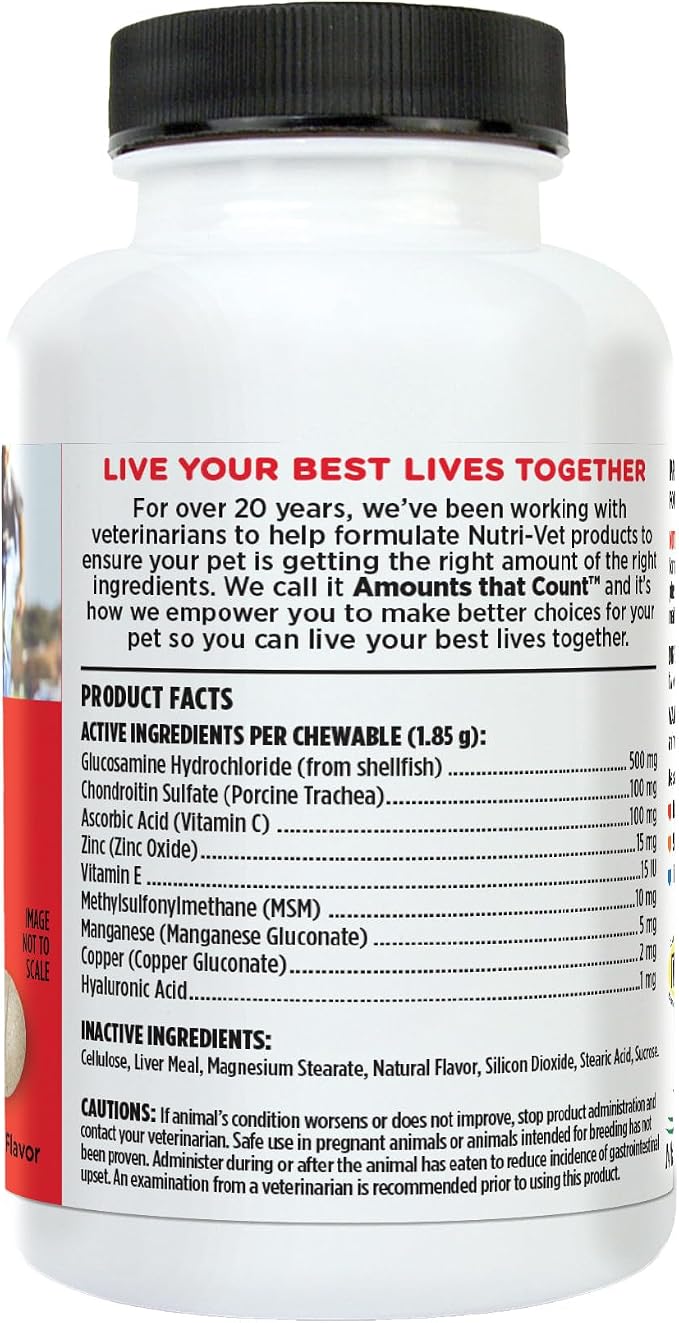 Nutri-Vet Hip & Joint Regular Strength Joint Dog Supplements, Formulated with Glucosamine Chondroitin, Pet Supplies, Hip Supplement for Dogs, Glucosamine Chews, Puppy Essentials, 75 Count Chewables