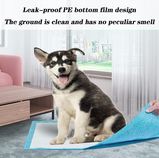 50 Count Dog Pee Pads Extra Large,36"x36"Pee Pads for Dogs Absorbent & Leak-Proof,Disposable Pet Training and Puppy Pads for Cats Dogs Rabbit