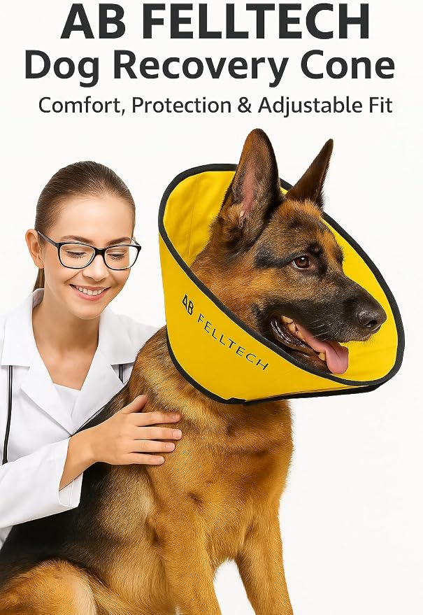 Soft Cone for Dogs Comfortable Adjustable Recovery Collar – Protective E-Collar for Surgery, Neutering & Wounds – Yellow – Sizes L