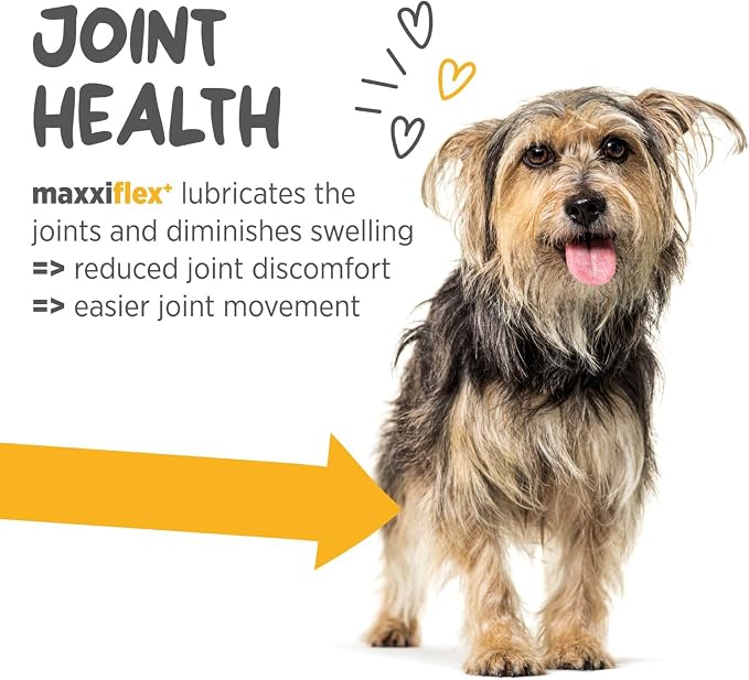 maxxipaws - maxxiflex+ Hip & Joint Supplement for Dogs with Glucosamine, Chondroitin, MSM & Collagen | Mobility, Flexibility & Discomfort Support | Senior, Adult & All Breeds | 60 Tablets