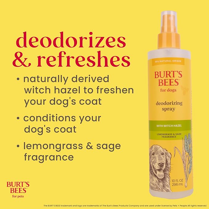 BURT'S BEES FOR PETS Deodorizing Spray for Dogs with With Hazel, Lemongrass and Sage Fragrance, 99% Natural Origin Formulas, Best Waterless Dog Shampoo - Gentle Dry Shampoo for Dogs, 10 oz