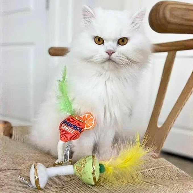 Haute Diggity Kitty Cocktails Apawrol Spritz & Cattini Set, Plush Cat Toys Catnip Filled with Interactive Crackle Sound, Safe, Durable Toys for Cat & Kitten, 2 Pcs