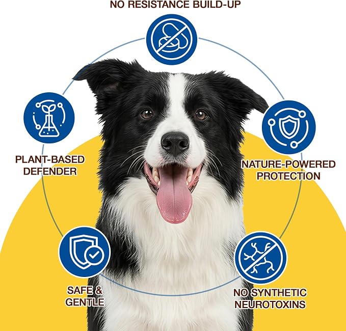 Natural Flea and Tick Prevention for Dogs Chewables, 180 Soft Chews Dog Flea and Tick Treatment, Oral Flea Chews for Dogs, Skin & Coat Support Supplement