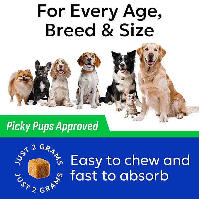 BARK&SPARK Green Grass Chews - Pee Grass Spot Saver Caused by Dog Urine - Urine Neutralizer for Lawn, Gut Health Probiotics & Digestive Enzymes,Lawn Burn from Dog Urine, Grass Burn Spot Chews (240Ct)
