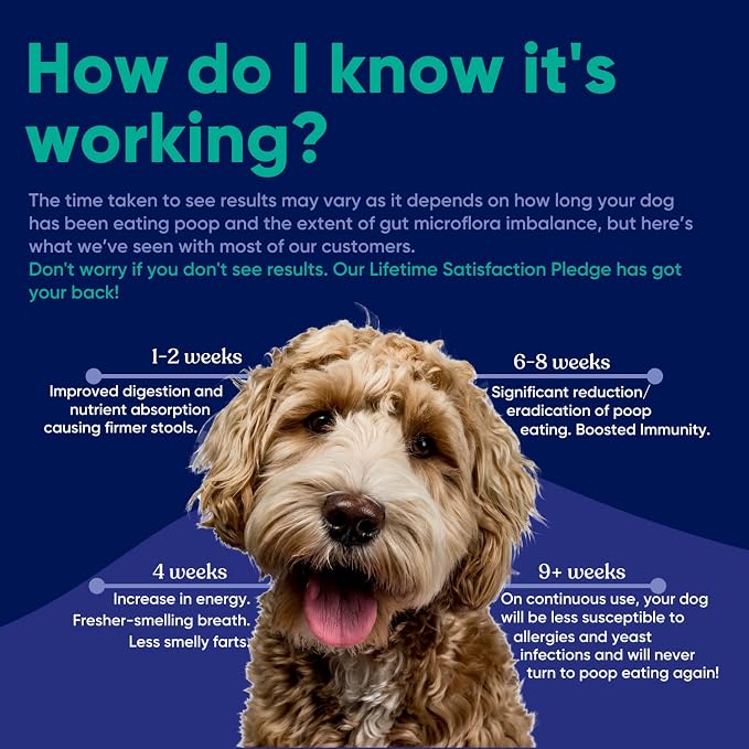 Probiotic - Coprophagia Treatment for Dogs - Stop and Prevent Dog from Eating Poop - No Stool Eating, Deterrent and Prevention - Probiotics Powder for Cats, Dogs & Puppies