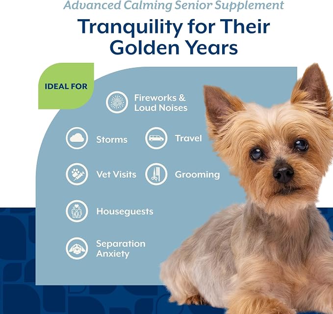 NaturVet Quiet Moments Calming Aid Dog Supplement, Helps Promote Relaxation, Reduce Stress, Storm Anxiety, Motion Sickness for Senior Dogs – 60-Ct. Soft Chews