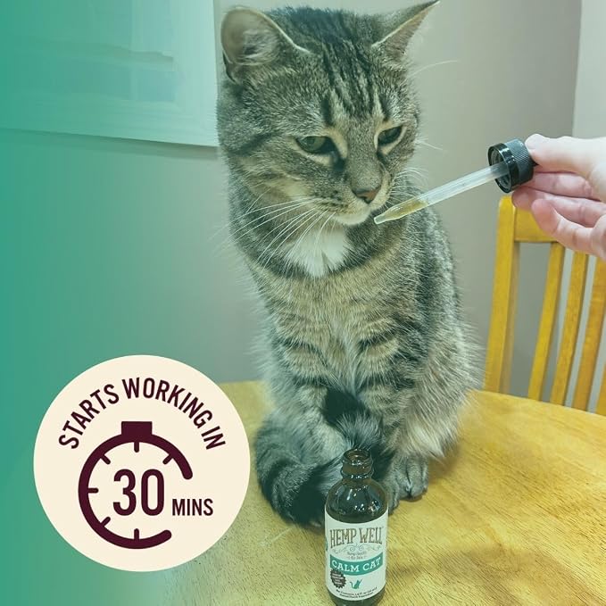 Hemp Well Calm Oil for Cats – Natural Calming Aid for Anxiety, Travel & Stress – Supports Relaxation, Reduces Unwanted Behavior & Grooming Issues – Organic Hemp Formula – 2 oz