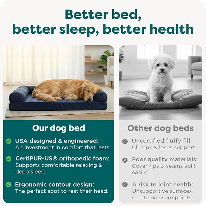 Furhaven Orthopedic Dog Bed for Large/Medium Dogs w/ Removable Bolsters & Washable Cover, For Dogs Up to 55 lbs - Plush & Velvet Waves Perfect Comfort Sofa - Celadon Green, Large