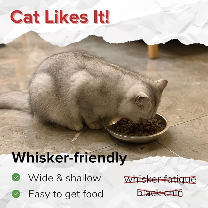 PEDAY 18/8 Stainless Steel Cat Bowls, Human Grade, Whisker Friendly - Pack of 4