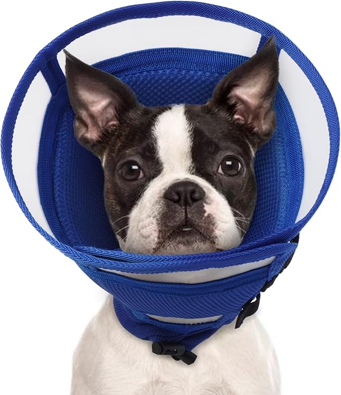 Dog Cone for Dogs After Surgery,Foldable Dog's Cone Collar,Adjustable E Collar Alternative to Stop Licking,Pet Cones for Dog & Cats,Doggy Surgery Collar,Dogs Recovery Collars & Cones,Blue,S