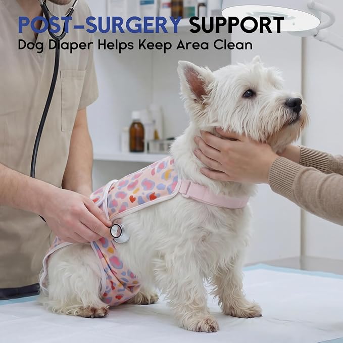 ASENKU 2 Pack Female Dog Diapers with Suspenders, Reusable Washable Puppy Panties for Small Dogs, Leak-Proof Pet Underwear for Heat Cycle & Period