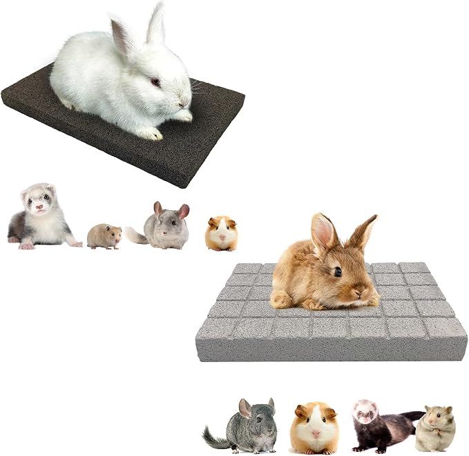 BNOSDM Rabbit Grinding Claw Pads 2 Pack Bunny Scratch Foot Pads Natural Hamster Lava Stone for Teeth Grinding and Scratching Pad Chew Toy for Small Animals