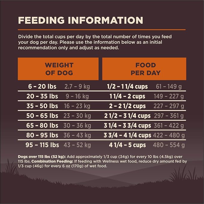 Wellness CORE Adult Dry Dog Food, Grain Free Kibble, Natural, High Protein, Turkey and Chicken Recipe, 26 lb Bag