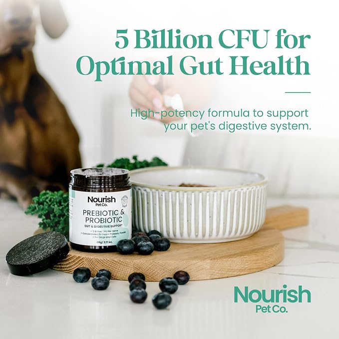 Nourish Pet Co. Probiotic Supplement for Dogs & Cats – 5 Billion CFU Digestive Support Formula with Prebiotics, Gut Health Balance, Immune Support, and Digestive Enzymes for Daily Pet Wellness