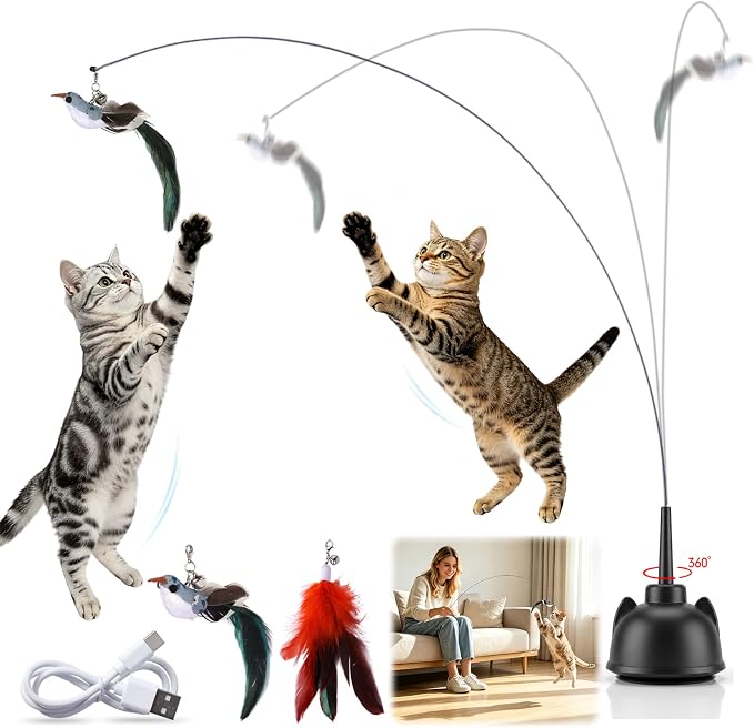 2 In 1 Electric Cat Wand Toy Interactive Cat Toys for Indoor Cats 360° Cat Toys for Bored Indoor Adult Cats, 2-Speed Fly Cat Chase Toy Automatic Cats Toys with Suction Cup Electric Cat Teaser Wand