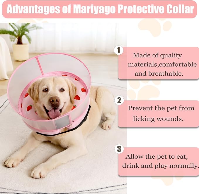 Inflatable Dog Cone Collar for Large Medium Small Dogs, Soft Dog Donut Collar Adjustable Recovery Cone for Pets After Surgery, Extra Enhanced Anti-Licking Guard Shield (Strawberry Print, X-Large)