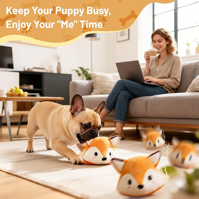 Bundle Interactive Dog Toys to Keep Them Busy