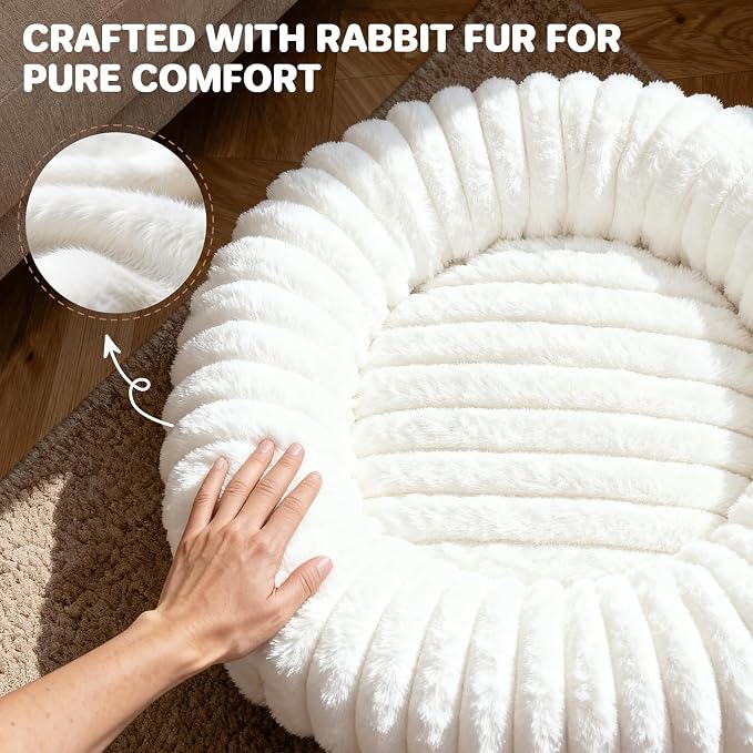 Donut Dog Bed for Large Dogs - Pet Bed with Removable Cover, Self-Heating Winter Pet Beds for Medium & Big Dogs, Egg Tart Design (L) Dog beds Medium Sized Dog self Warming