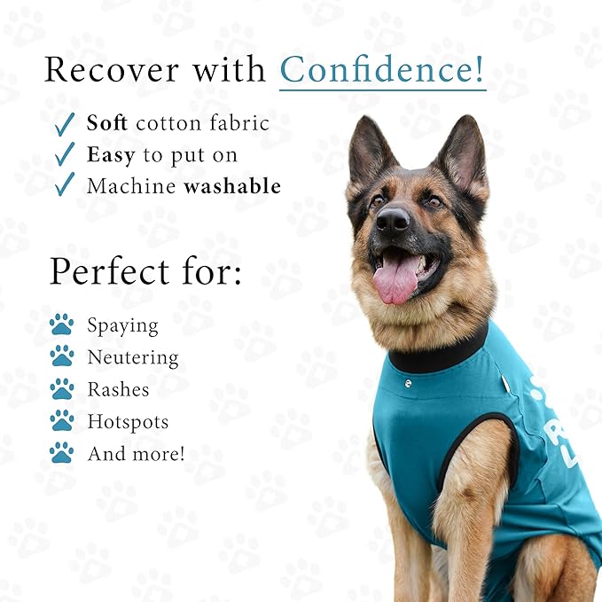 BellyGuard Dog Surgery Recovery Suit, Post-Op Dog Recovery Suit for Female Spay & Male Neuter, Comfy Onesie for Pets, Surgical Body Cover for Canine Healing Support