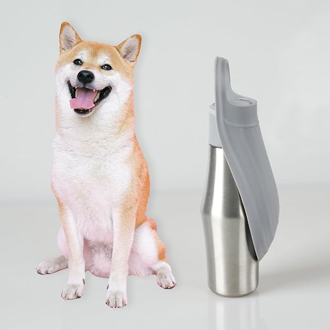 Portable Dog Water Bottle with Dispenser, 750ml Stainless Steel Travel Cup and Collapsible Water Bowl for Dogs, Ideal for Outdoor Activities, Walking,Hiking, Road Trips (Grey)