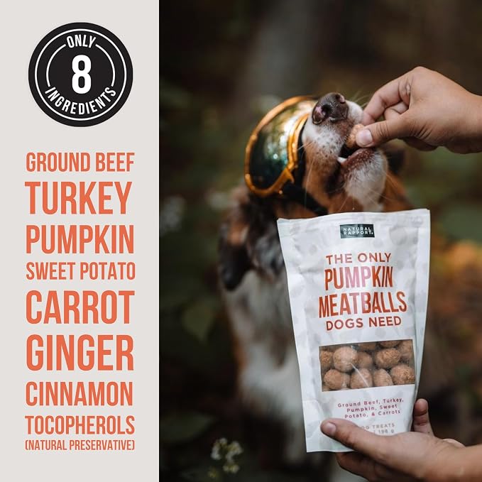 Natural Rapport Freeze Dried Pumpkin Meatballs Dog Treats - Beef, Turkey & Pumpkin, Limited Ingredient for Sensitive Stomachs (4 oz) (30+ Treats)
