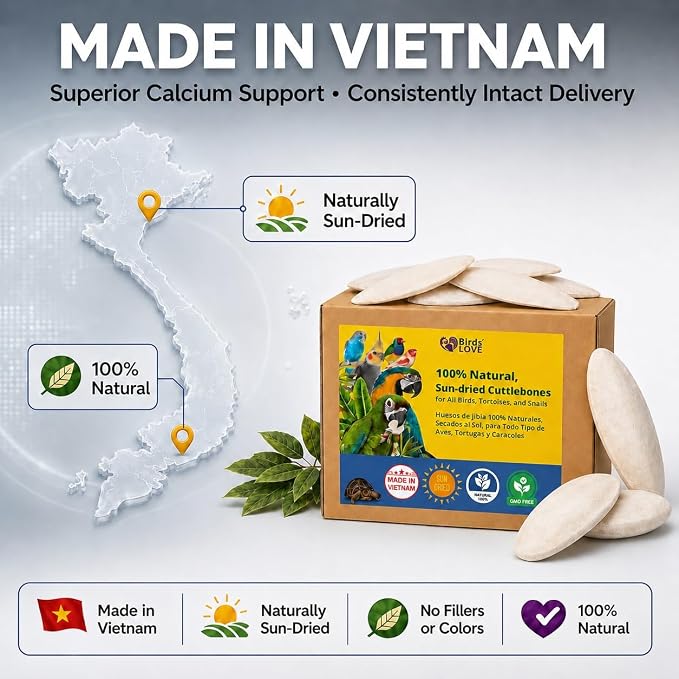 Birds LOVE 3.5-4″ Cuttlebone for Birds – 100% Natural Sun-Dried Calcium & Beak Conditioning Supplement for Parakeets, Budgies, Cockatiels, Finches & Canaries – 2 Pack with Holder – Made in Vietnam