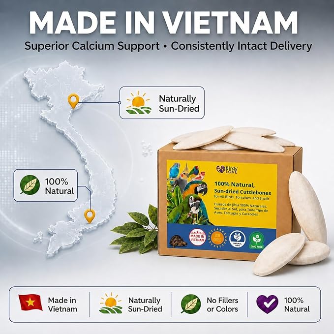 Birds LOVE 3.5-4″ Cuttlebone for Birds – 100% Natural Sun-Dried Calcium & Beak Conditioning Supplement for Parakeets, Budgies, Cockatiels, Finches & Canaries – 4 Pack with Holder – Made in Vietnam