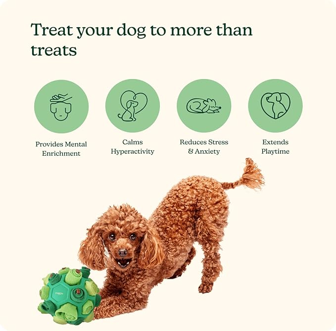 Reggie Dog Training Treats with Enrichment Toy | Turkey & Pumpkin Dog Treats + Forager Ball | Low-Calorie High-Protein Rewards | Mental Stimulation for Dogs | 340 Treats