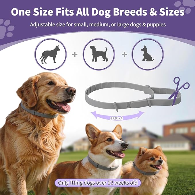 Wiiks&Wooks Flea and Tick Collar for Dogs, 5 Packs Flea Collar for Dogs for 40 Months Protection, Waterproof & Adjustable Flea and tick Prevention Collar for Small Medium Large Dogs & Puppies, Grey