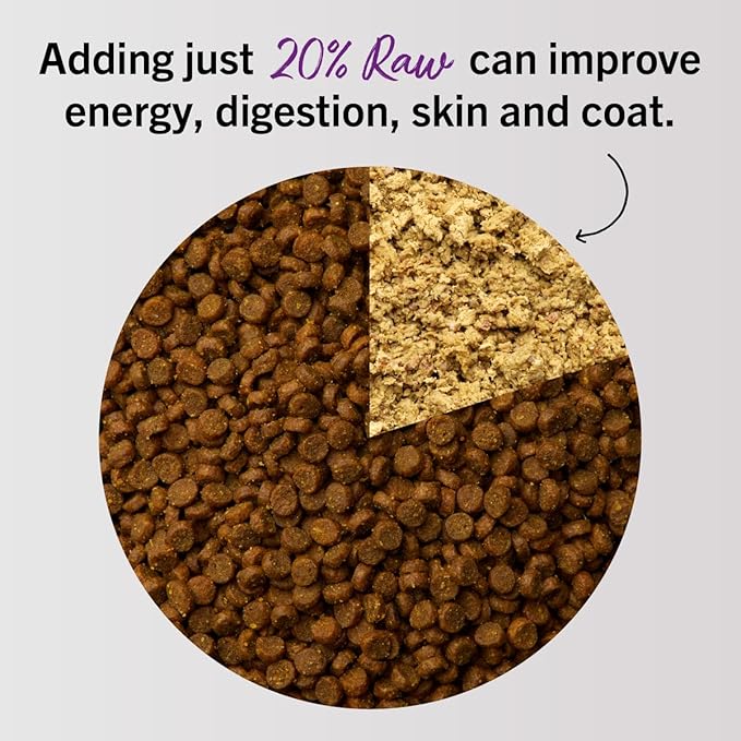 Stella & Chewy's Freeze-Dried Raw Cat Dinner Morsels - Premium Salmon & Chicken Recipe with 98% Wild-Caught & Cage-Free Protein - Natural Grain-Free Cat & Kitten Food - Made in USA - 8 oz