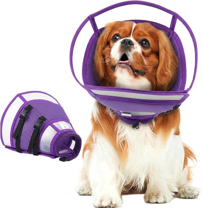 Dog Cone Collar After Surgery to Stop Licking | Adjustable Elizabethan Collar for Neutering, Lightweight Breathable Recovery Neck Cone to Prevent Biting Wounds & Hot Spots (Purple, L)
