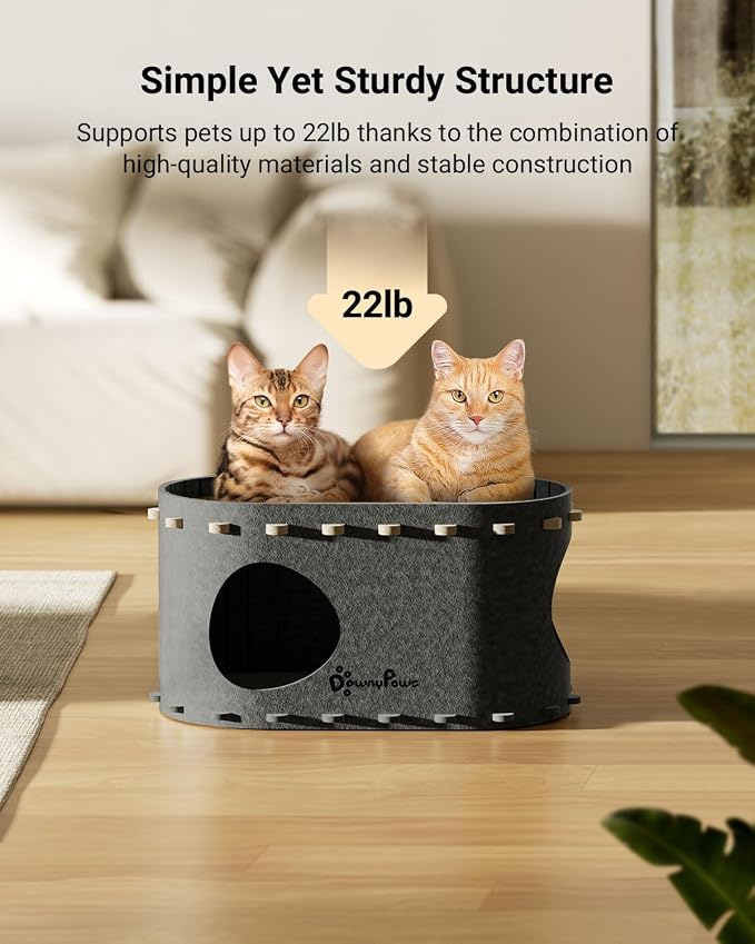DownyPaws Cat House for Indoor Cats, Cat Bed Cave for Multiple & Large Cats Up to 22 Lbs, Scratch Resistant Peekaboo Cat Caves, Foldable Cat Tunnel Enclosed Bed, PeekaPurr, Sesame Gray and Forest