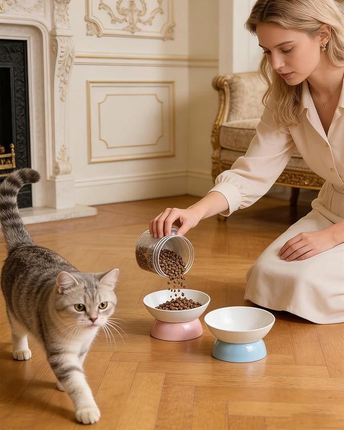 Ceramic Elevated Cats Bowls, 4Pc Extra Wide Raised Cats Bowls, Shallow Whisker Friendly Food & Water Dish, Anti Vomit, Microwave & Dishwasher Safe, 5 oz (Colorful 5.3 x 3.5'')