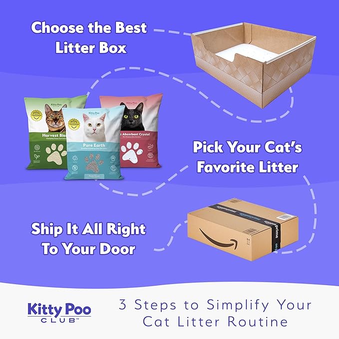 Kitty Poo Club Disposable Cat Litter Box 2-Pack with 2 Bags Ultra-Absorbent Silica Crystal Litter, Patented Leak-Proof Design, 30-Day System, Low Dust, Perfect for Travel and Multi-Cat Homes