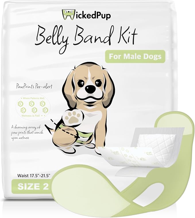 WICKEDPUP Male Dog Belly Band Kit, 50 Diaper Pads & 1 Reusable Male Wrap (Size 2 (17.5"-21.5" Waist))