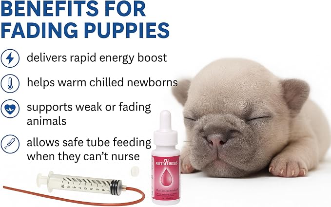 LBH MARKET Emergency Puppy Kitten Feeding Tube Kit – 5FR Kendall Tube, 12mL Syringe & Pet Nutri-Drops for Weak or Fading Puppies | Newborn Whelping Supplies for Breeders