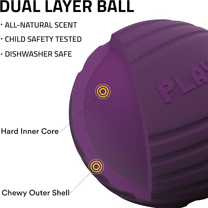 Playology Dog Toys | Dual Layer Ball Durable Chew Toy for Tough Chewers | Bacon Scented Medium Dog Toy | Chew Toys for Dogs
